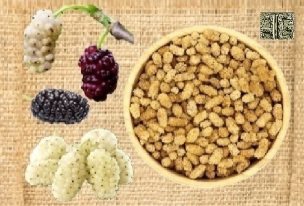 Natural Dried Mulberries