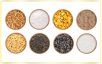 Organic Grain and Oil Seeds