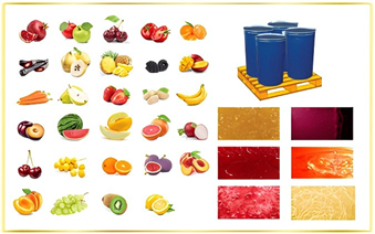 Organic Conventional Concentrate Fruits