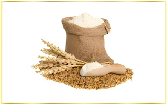 Wheat Flours-Pregelatinized Wheat Flours-Heat Treated Flours-Improvers
